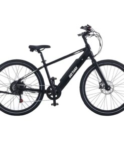 CTI Electric Bike
