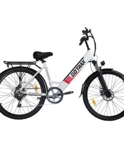Endura Electric Bike