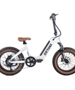 F5 Electric Bike