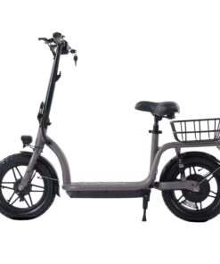 Flex Electric Scooter