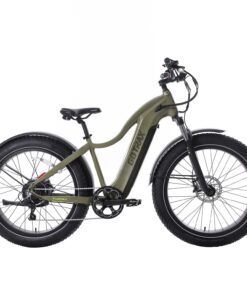 Tundra Electric Bike